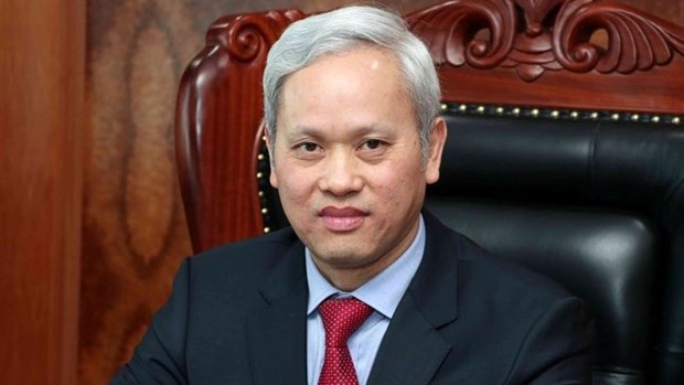 前越南统计总局局长阮碧林。