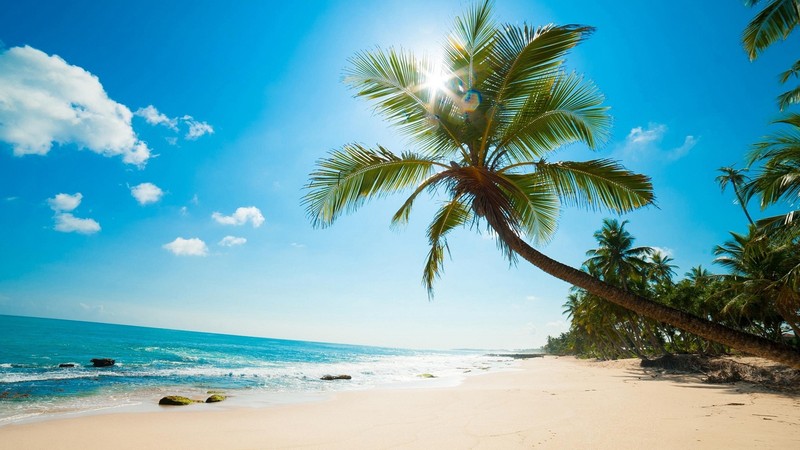 附图：富国玉岛——热带旅游天堂。