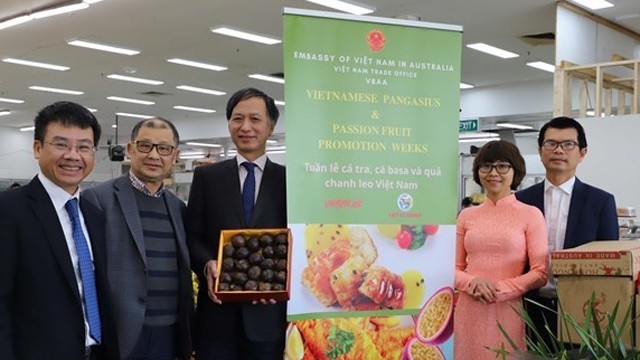 越南驻澳大利亚大使阮必成出席“越南百香果品牌推广计划”启动仪式。