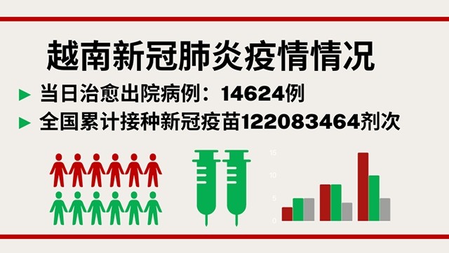 11月30日越南新增新冠确诊病例13972例【图表新闻】