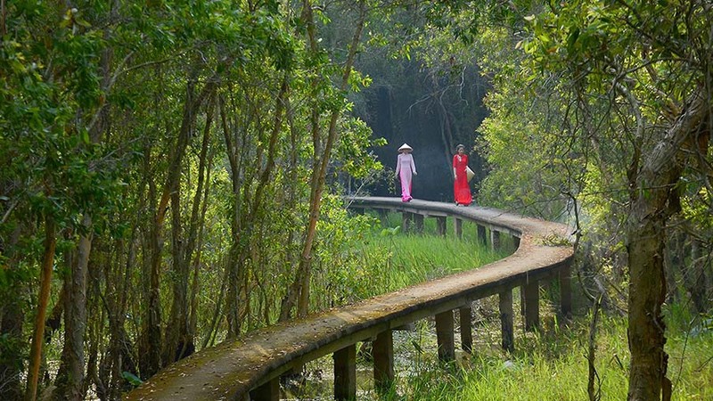 隆安省新立水上浮村——具有吸引力的旅游目的地。