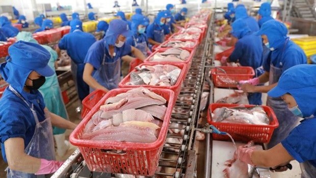 附图：2021年越南查鱼出口金额有望达15.4亿美元。