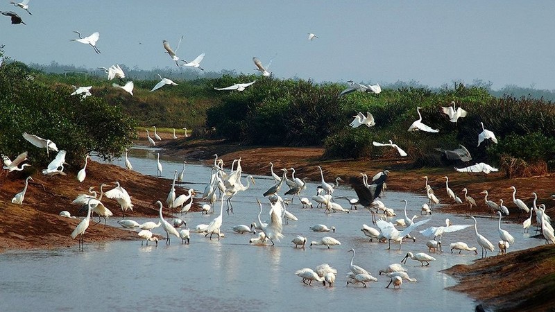 越南被公认的国际重要湿地共13处。