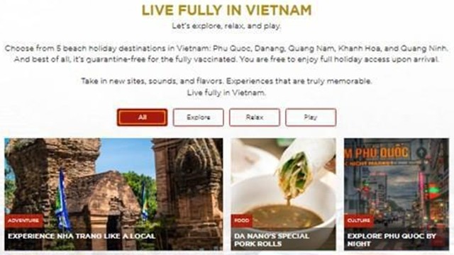 “充分享受在越南的每一刻”专栏网页截图