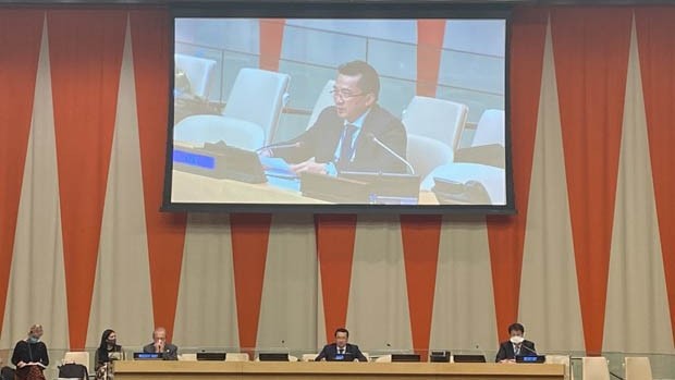 越南主持联合国安理会国际法院工作组会议。（图片来源：VOV）
