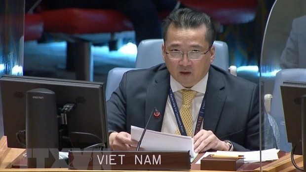越南驻联合国临时代办范海英大使。（图片来源：越通社）