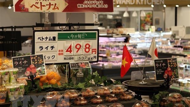越南荔枝在日本永旺超市上架。（图片来源：越通社）