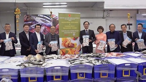 越南驻澳大利亚大使馆举行促进越南查鱼和巴沙鱼出口展览会。（图片来源：越通社）