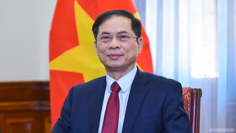 越南外交部长裴青山。（图片来源：国际报）