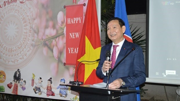 越南驻埃及大使陈成功在迎春活动上发言。（图片来源：越通社）