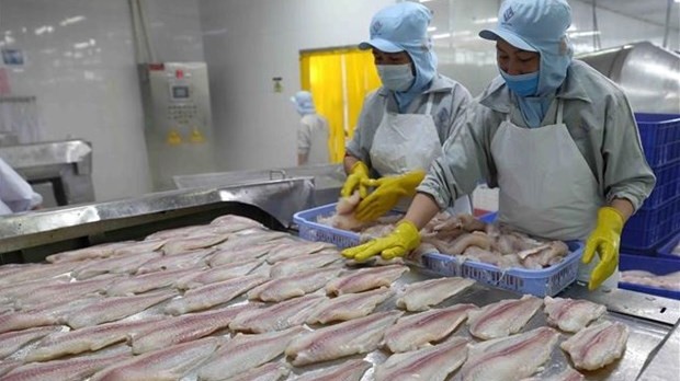 附图：越南查鱼片加工。