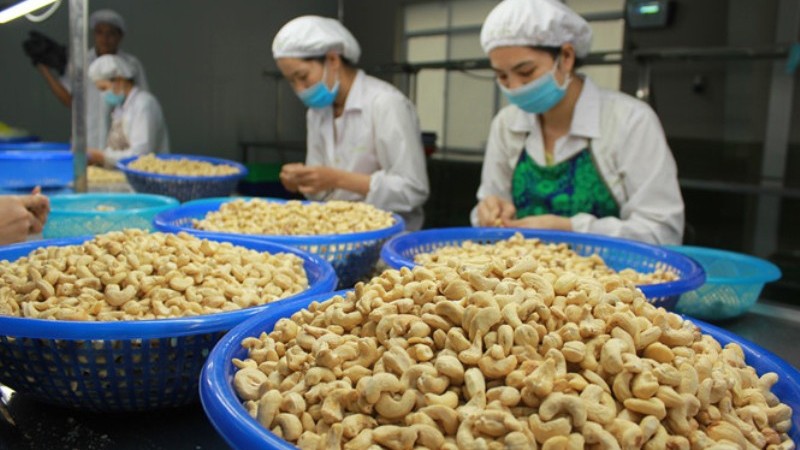 附图：2022年越南腰果行业增长前景乐观。