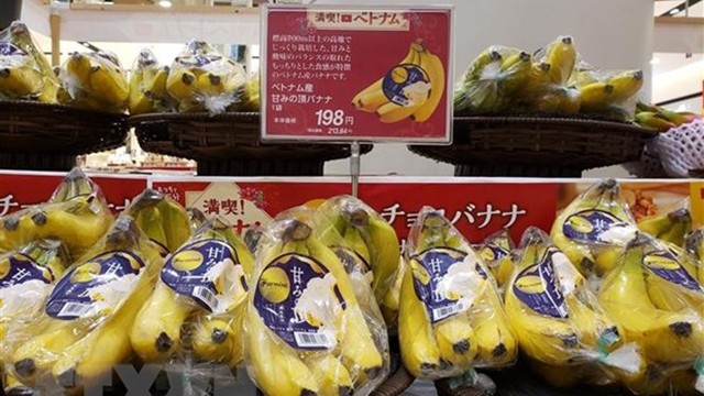 越南香蕉在埼玉县永旺湖城超市出售。（图片来源：越通社）