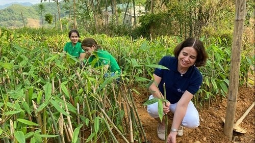 澳大利亚驻越大使罗宾•穆迪女士访问春芽竹笋生产企业。