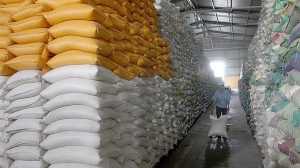 胡志明市粮食公司出口大米储备