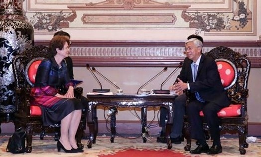胡志明市人民委员会副主席武文欢会见荷兰外交部对外经济关系副部长汉内克·舒林。（图片来源：越通社）