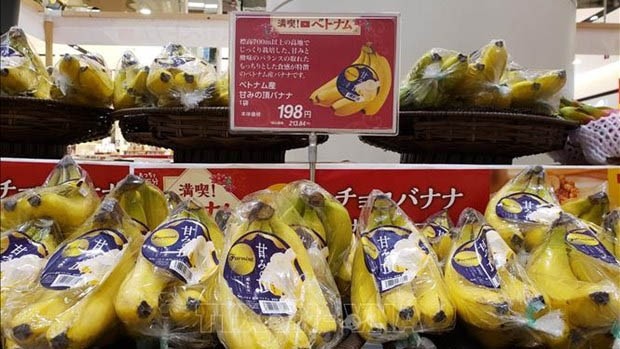 附图：越南是日本市场第7大香蕉供应国。