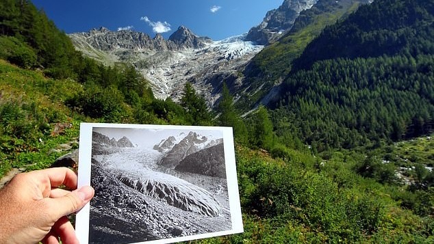 2019年8月拍照的特里恩特冰川以及1891年在同一地点拍摄的照片。（图片来源：路透社）