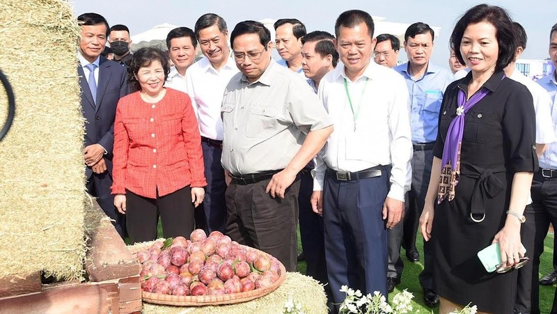 越南政府总理范明正在“木州牛奶天堂”综合体考察农产品。