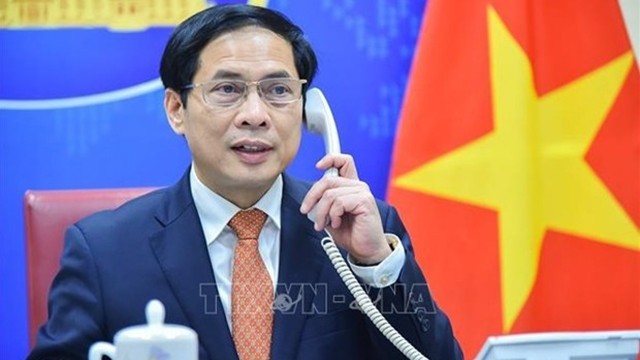越南外交部长裴青山。（图片来源：越通社）