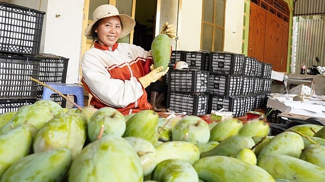 越南蔬菜在欧洲市场颇受欢迎。