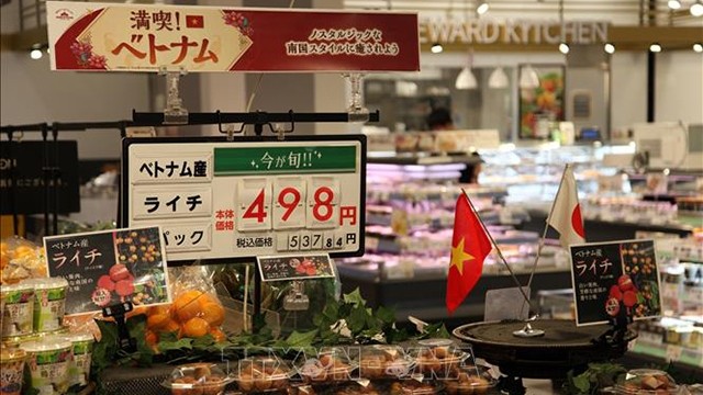 在日本超市销售的越南荔枝。（图片来源：越通社）
