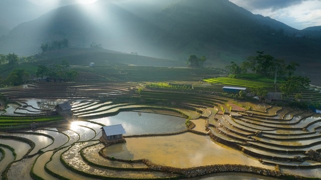 越南北部山区田梯美景。