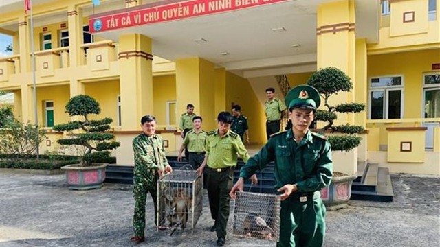 越南河静省武光国家公园接收两个野生动物个体。