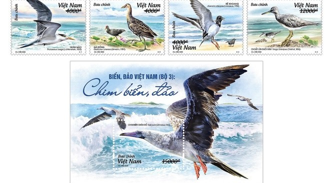 “越南海洋与岛屿：海岛鸟类”邮票正式发行。（图片来源：vnpost.vn）