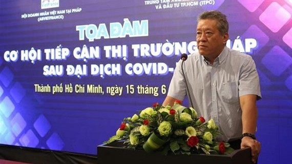 法国越南企业家协会主席阮海南发言。